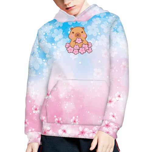 Image of Coloranimal Unisex Girls and Boys Long Sleeve Hoodies Hoody Athletic Pullover Sweatshirts Tops Age 6-16year