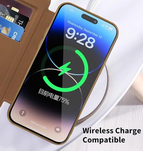 Étui iPhone 14 Pro Max et 15 Plus bleu Far Peak pour protéger vos cartes - 3