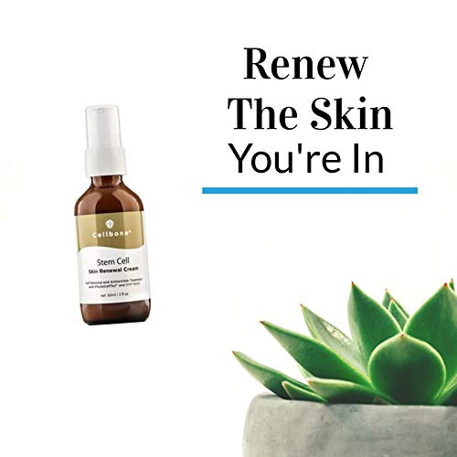 Miniatura 2 de Cellbone Crema renovadora de la piel STEMCELL