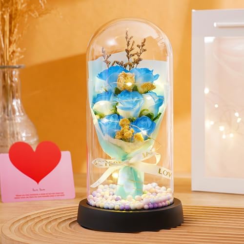 AACV LEDKXh[tiԃ[YbKXJo[ŔfBXvCbo̍聕铔tbaELOE̓MtgbޏEȁEꂳւ̃v[g (?F) (H)