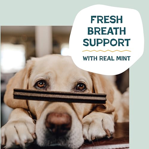 Image of Shameless Pets Bone Broth, Banana, & Mint Dental Chews for Dogs, 32 Chews - Natural Dog Teeth Cleaning Treats with Fresh Breath Benefits | Grain-Free Dental Sticks for Small, Medium & Large Dogs