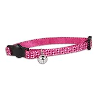 Algopix Similar Product 8 - Doskocil Aspen Pet Products CT Collar
