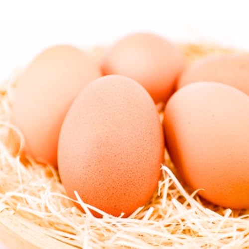 奥京都の撫子たまご40個⼊ (30個+割れ保証10個)