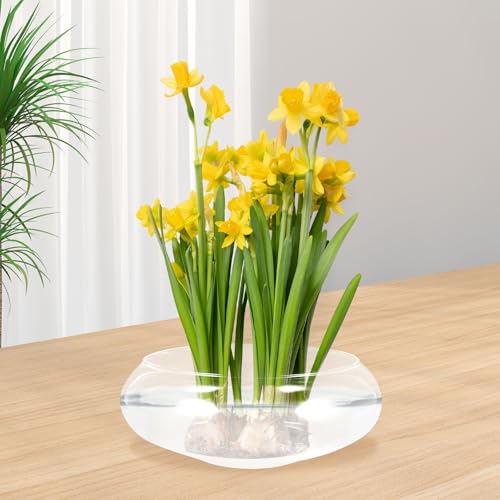Pot de fleurs vintage avec motif délicat en verre haut de gamme - 6