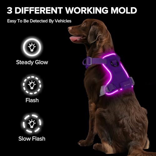 MASBRILL Light Up Harness, Rechargeable LED Dog Harness for Puppy to Large Dog 7 Colors, 9 Lighting Modes, Glowing - Image 2