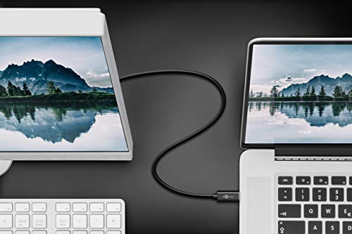 Goobay 79295 Cavo Adattatore USB-C- DisplayPort