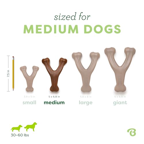 Image of Pawsindia Benebone Wishbone Durable Dog Chew Toy for Aggressive Chewers|Real Peanut Medium for All Breeds