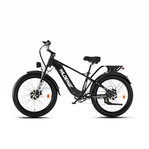 Bicicleta eléctrica Fat Tire 26 x 4.0, doble motor, 48 V, 30 Ah, autonomía hasta 80-100 km, doble suspensión completa, frenos hidráulicos de disco, 7 velocidades, bicicleta eléctrica All Terrain para