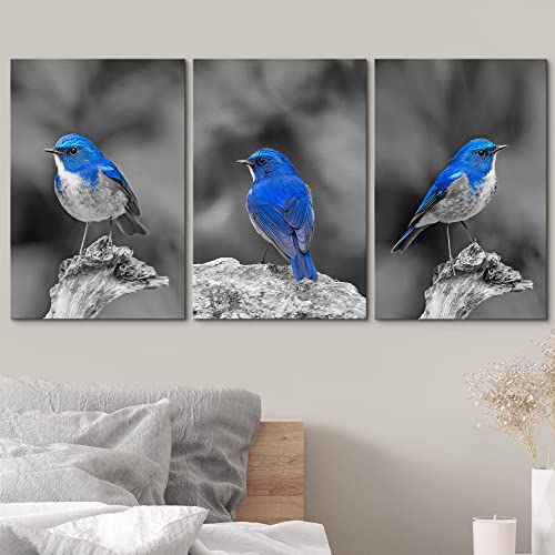 Wall26 3 Panel Canvas Wall Art - Color Splash Of Blue Bird With Black And White Background - Giclee Print Gallery Wrap Modern Home Art Ready To Hang - 24"X36" X 3 Panels #TOP2