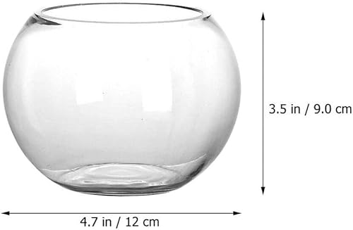 Miniatura 6 de HANABASS Tazón de burbujas de vidrio, mini pecera, pequeño acuario, cuenco de peces de globo, florero, florero, planta, terrario, frasco, para