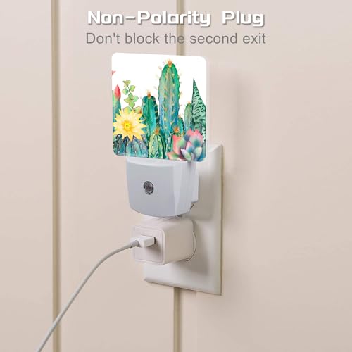 Image of Cactus and Succulents Night Light Plug into Wall, Watercolor Botanical Floral Dusk to Dawn Night Light Plug in,0.5w Energy Saving Sleep Friendly NightLight for Kids Boys Girls Home Decor
