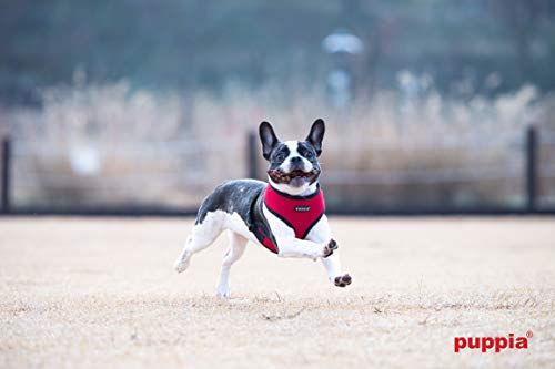 Puppia Hundegeschirr für kleine und mittelgroße Hunde - super weich in vielen Farben - Auch als Welpengeschirr verwendbar -Antizuggeschirr für Hunde, Rot, M
