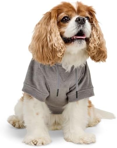 Reddy by Petco College Pet Hoodie, Grey, Large