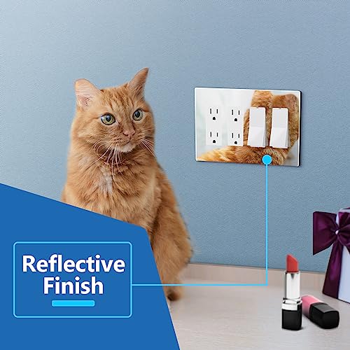 Image of LIDER Quadruple Decorator Wall Plate, Impact Resistant, Acrylic, Mirror Glass Silver, 1-Pack