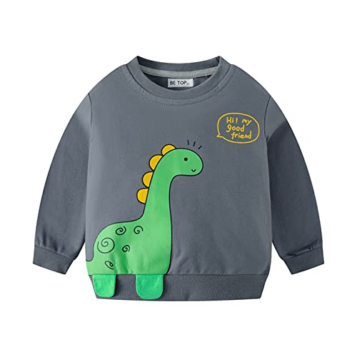 Baby Boy Long Sleeve Boys Autumn Winter Print Dinosaur Cotton Long Sleeve Hoodie Clothes Boys Basic Long Sleeve Tee