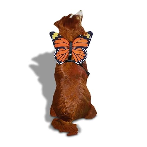 Bootique Butterfly Wing Harness Dog Costume Medium