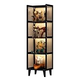 Display seguro y seguro: Nuestro gabinete de curiosidades de vidrio, equipado con una puerta de cristal, ofrece una protección integral para sus objetos preciosos. El mecanismo de bloqueo garantiza su seguridad, y el material de vidrio templado protege los tesoros del interior de las huellas dactilares y otros factores ambientales.