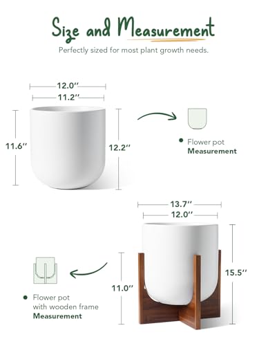 LE TAUCI 12 Inch Pots for Plants with Acacia Wood Stand, Ceramic Large Planters for Indoor Plants, Indoor Plant Pots for Office Living Room, Cylinder Pots for Plants with Drainage Hole and Plug, White