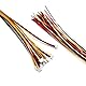 ZSDZFYLLK 10 Sets Mini Micro JST 1.25mm 4-poliger Stecker mit UL1571-26AWG 20cm Kabel draht und Buchse JST 1.25 Steckverbinder Kit