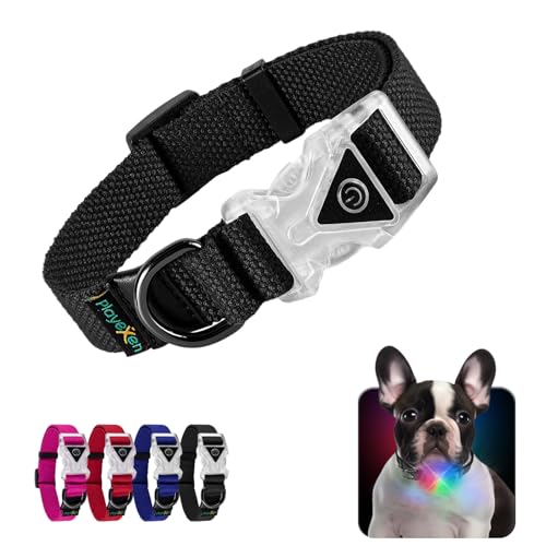 Collare Luminoso per Cani Collare Cane Regolabili in Morbido Cotone per Cani & Gatto Taglia Piccola Media Grande Collare di Cane LED 2 Modos de Flash Collari per Cane 25-40/2,0cm (S), Nero
