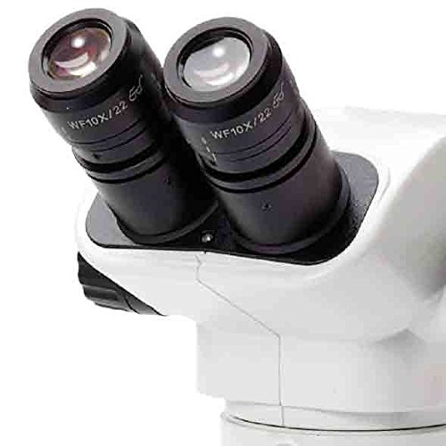 Lupa Binocular Euromex Nexius Zoom variable de 6,7 a 45 aumentos
