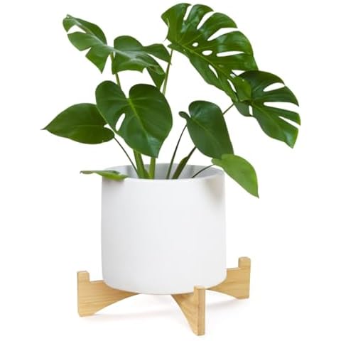 Roucerlin Wooden Plant Stand for Indoor and Outdoor Cover
