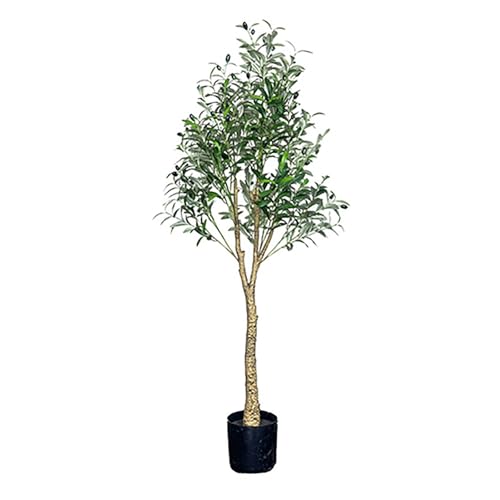 オリーブ 木」の人気商品一覧 | 安い商品を通販サイトから探す