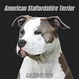 american staffordshire terrier elevage  American Staffordshire Terrier Calendar 2026: 12 Months Organizer From January to December