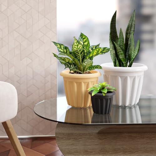 Image of YUCCABE ITALIA SHERA Floot 8 Inch Plastic Flower Pot 3 Piece Set of Round Shape Planter for Home Garden Seedling Planter for pots (Multicolor)