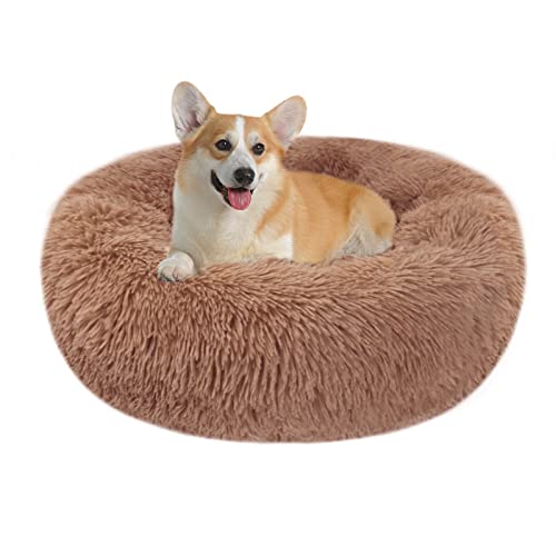 Panier Chien Chat Moelleux Rond - Coussin Chien et Chat Anti Stress Apaisant en Peluche, Donut Lit Confortable Lavable pour Chien Chat Petit Moyen Taille (XL-70cm, Café) Cover