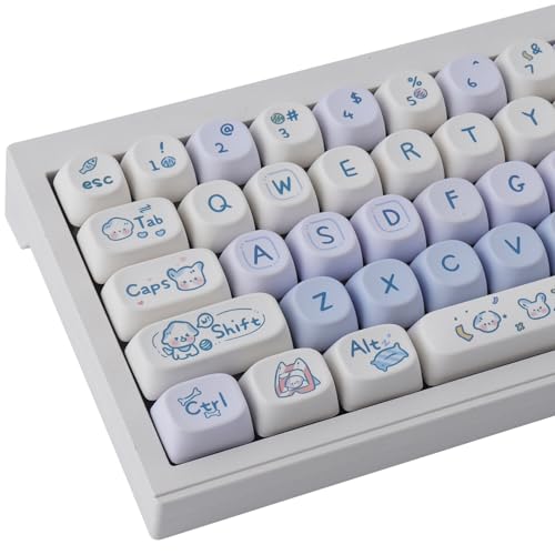 TYRIXKI PBT L[Lbv 137L[ MOA vt@C 킢L[Lbv ،^ u[zCg q L[LbvZbg JX^L[Lbv Cherry Gateron MX Swithes JjJL[{[hp