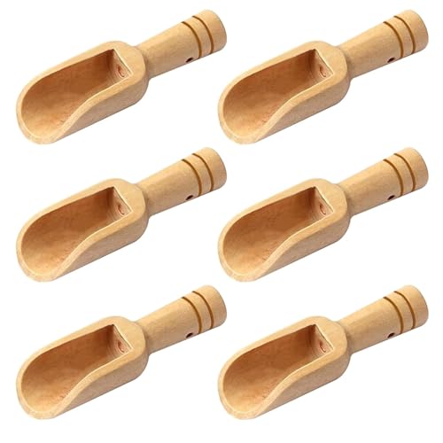Image of 6 Pcs Small Wooden Spoons,Durable Children Washing Powder Wooden Scoop,Universal Mini Bamboo Spoons for Salts,Teaspoons Laundry Natural Spoon for Honey,Spices,Candy,Tea Powder,Bath