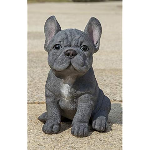 Hi-Line Gift Blue French Bulldog Puppy Sitting Statue, Grey Cover