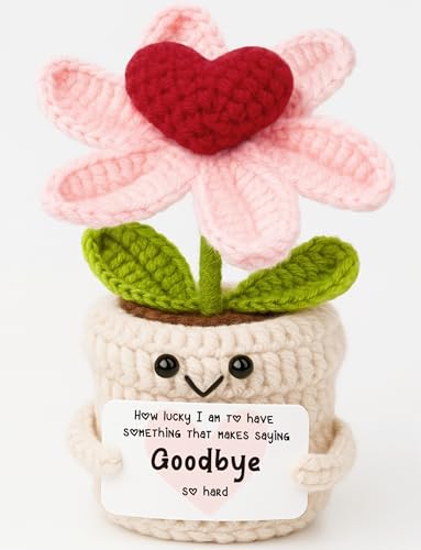 Goodbye Gifts for Coworkers Crochet Heart Flower Plant, Saying Goodbye So Hard, Cute Handmade Desk...