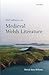 Irish Influence on Medieval Welsh Literature
