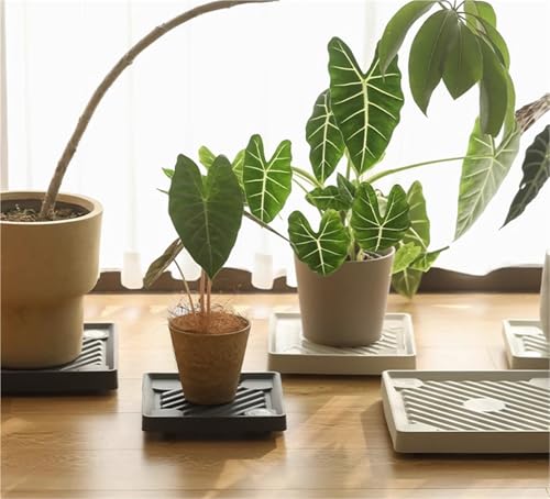 Support à roulettes pour plantes robuste blanc de 34 cm au design minimaliste et durable - 4