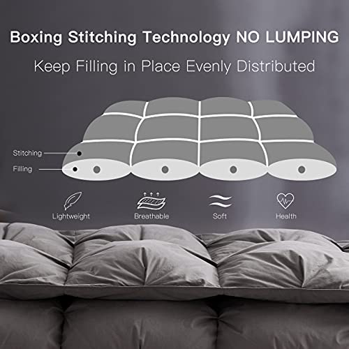 Alanzimo Luxurious All Season Goose Down Comforter King Size - Ultra Soft Down Proof Medium Warmth Grey Bedding Down Feather Duvet Inserts With 8 Tabs,Hotel Collection 106X90 Inch #TOP1