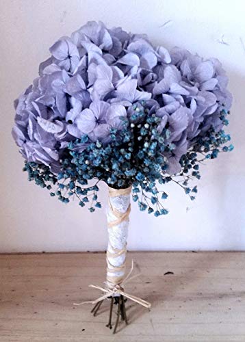 Bouquet de Hortensia natural preservada y paniculata, ideal ceremonia. (azul)