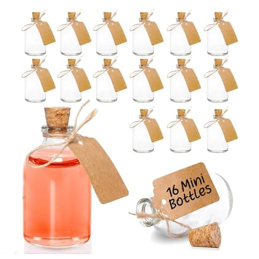 Mini-glasflaskor med korklock för bröllopsdekorationer och fester, 50 ml glasflaskor levereras med hantverksetikett och snöre fäst (16-pack)