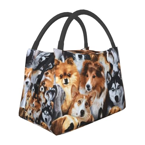 ̃p^[ ٓ ۉ ۗobO t@Xi[t RpNg ٓ \tgN[[obO e ۉ ۗ y Hi[ jp