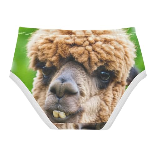 Cotton Toddler Girls Underwear Funny Alpaca Panties for Girl Fun Print Undies Kids Briefs 2t2