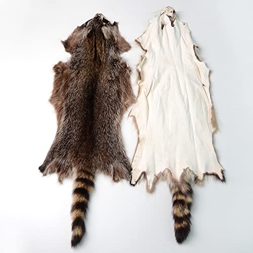 1pcs Natural Tanned American...