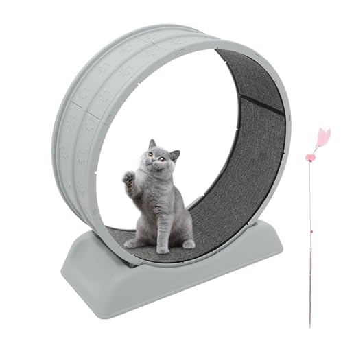 Roue d'exercice pour chat 80 cm, grande et silencieuse, pour chats d'appartement, roue de fitness robuste avec boucle de sécurité, tapis et canne à pêche,...