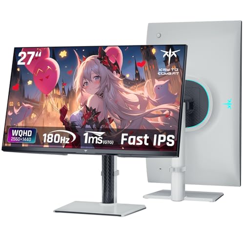 27インチ WQHD (2560x1440) 300Hz(OC 320Hz) Fast IPS ゲーミングモニタ H27E6