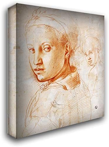 Study of a Boy Turning His Head 20x22 Gallery Wrapped Stretched Canvas Art by Jacopo Pontormo