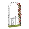 Relaxdays rozenboog met deur, tuin rankhulp klimplanten, tuinboog metaal, weerbestendig, 230 x 113,5 x 36,5 cm, groen