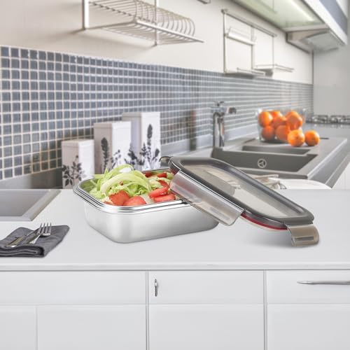 Image of MILTON New Modulo Steel Rectangular 650 Container with lock lid|Airtight & Leakproof|Microwave & Oven safe| Light Weight | School, Office or Picnic use, 600 ml, Silver