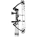 PANDARUS Compound Bow Draw Weight 0-70 Lbs for Pull Beginner and Intermediate Archer Fully Adjustable 19.25
