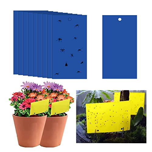 20 trampas adhesivas para moscas, 20 x 10 cm, calcomanías de papel azul para moscas, planta de protección de calcomanías azules, atrapamoscas adhesivas de doble cara para insectos contra mosquitos de