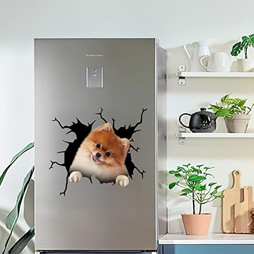 Pomeranian Stickers Decals Pomeranian Dog Gifts Funny Warning Car Sticker for New Driver 3D Trucking Aufkleber